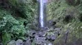 4k Waterfall tilt jungle-like mountain forest Madeira 4k or 4k+ Resolution