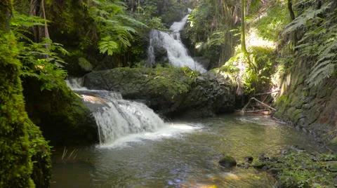 4K Waterfalls Forest 01 Stock Footage 58938858