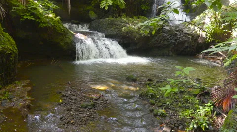 4K Waterfalls Forest 04 Stock Footage 58939358