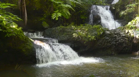 4K Waterfalls Forest 05 Stock Footage 58939696