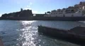 4k Waterfront with seagull fishing village Madeira 4k or 4k+ Resolution