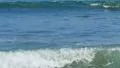 4K Waves 01 Water Surface 4k or 4k+ Resolution