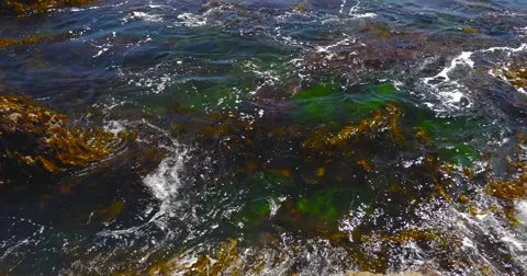 4K - Waves near coast Video stock 52373317