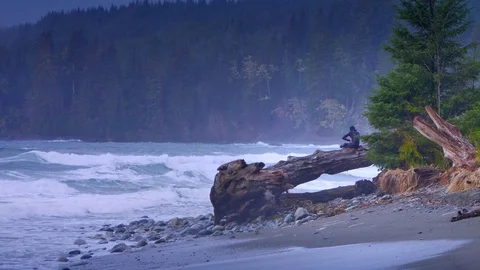 4K West Coast Waves and Wind, Person Sitting on Downed Tree Log on Shore Stock Footage 72374910