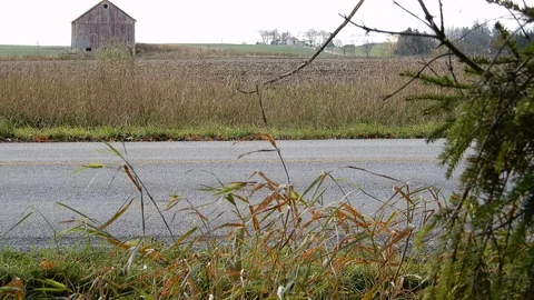 4K Wheatgrass Blowing In Wind By Roadside With Barn And Farmhouses Stock Footage 89204786