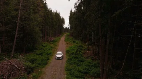 4K White Car Drives By Camera on Road in Dense Pacific Northwest Forest Stock-Footage 109141149