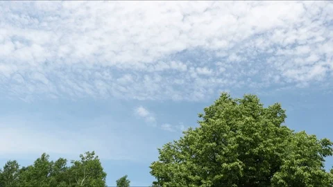 4k white cloud moving slow on top of trees Stock Footage 91142361