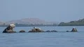 4k White reef peaks rocks showing out of water surface near islands 4k or 4k+ Resolution