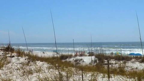 4k White Sandy Beach Beyond Dune Grass Vidéo 107999164