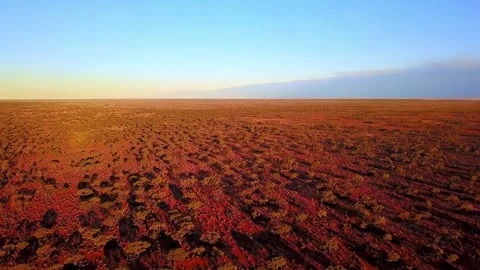 4K Wide Angle View Australian Outback Desert Red Earth Arid Vegetation Stock-Footage 334444475