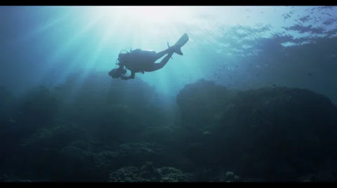 4K : wide, diver in shallows over reef Stock Footage 35848125