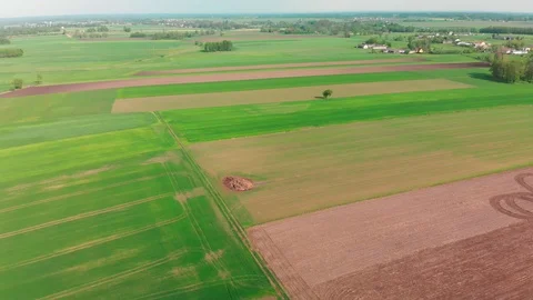 4k wide field shot, the drone. Stock Footage 89702917
