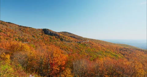 4K Wide panoramic view of Fall trees on a mountainside overlooking blue mountain Stock Footage 220898745