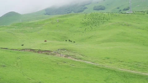 4K Wide Shot of Cable Car View Over Shahdag Mountain, Azerbaijan Видео 321706974