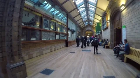4K Wide Stabilized Walkthrough Inside Natural History Museum Vídeos de archivo 72403134