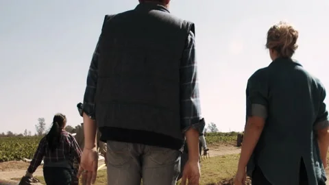 4k wide steadicam shot of a content and happy farming couple and multiracial wor Video stock 201094741