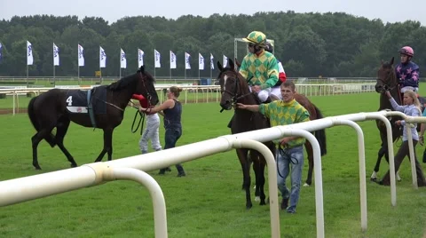 4k Wild racing horse with problems for the jockey Stock Footage 40242740