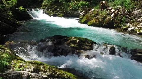 4K. Wild Radovna river flows in Vintgar Gorge. Clean blue water. Video stock 65212299