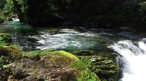 4K. Wild Radovna river flows in Vintgar Gorge. Clean blue water. Vídeo Stock 65256750