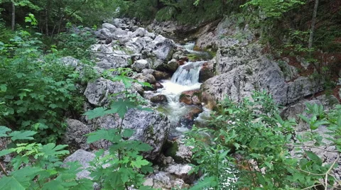 4K. Wild river flows in Alps Mountains, clean blue water and green forest. Stock Footage 65189763
