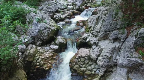 4K. Wild river flows in Alps Mountains, clean blue water and green forest. 스톡 동영상 65190153