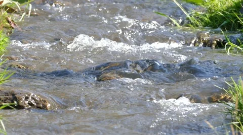 4k – Wild river with rapids 03 Stock Footage 53322651