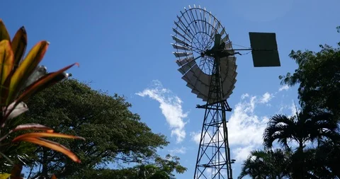 4K Windmill wide shot Stock Footage 100108066