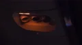 4k Window seat aeroplane night flight aboard fresh air blower 4k or 4k+ Resolution
