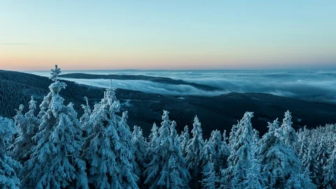 4K Winter in background frozen trees and inversion Stock Footage 119155380