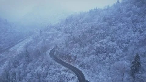 4K winter is endless Stock Footage 334105429