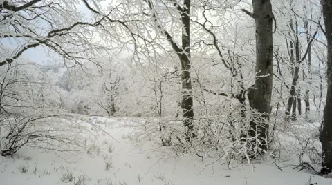 4k, Winter landscape in the mountains, the trees in hoarfrost 스톡 동영상 46830933