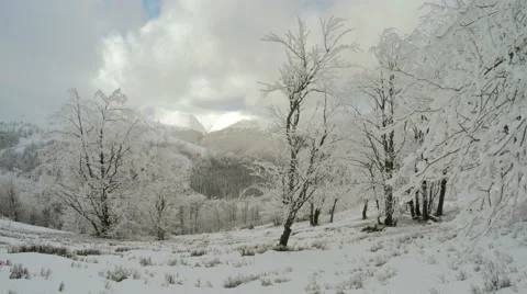 4k, Winter landscape in the mountains, the trees in hoarfrost Stock-Footage 46859296
