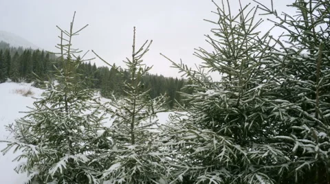 4k, Winter landscape in the mountains, the trees in hoarfrost Stock-Footage 47120734