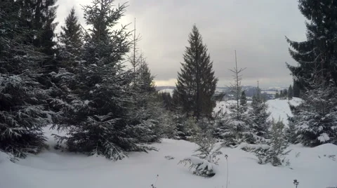 4k, Winter landscape in the mountains, the trees in hoarfrost Video stock 47452927