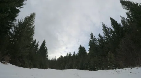 4k, Winter landscape in the mountains, the trees in hoarfrost Video stock 47731755