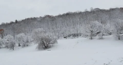 4K, Winter landscape in upstate NY Stockbeeldmateriaal 47040153
