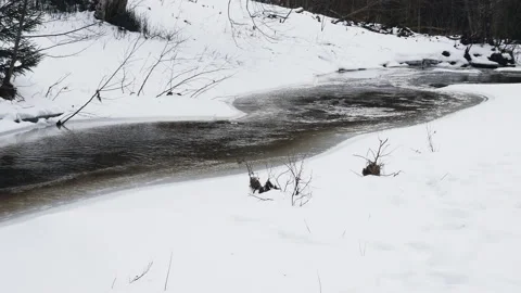 4K. Winter Mountain Stream. Forest Stream. Mountain River. Beauty in nature. Video stock 211710394