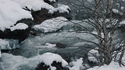 4K. Winter Mountain Stream. Mountain River. Winter Landscape Video stock 228732906