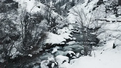 4K. Winter Mountain Stream. Mountain River. Winter Landscape Video stock 228732910