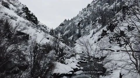 4K. Winter Mountain Stream. Mountain River. Winter Landscape Video stock 228732919