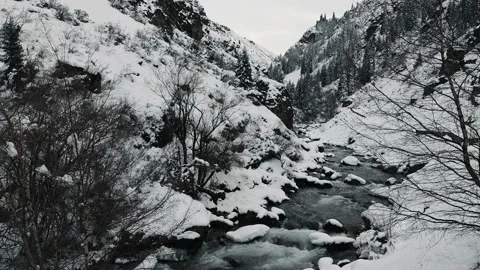 4K. Winter Mountain Stream. Mountain River. Winter Landscape Video stock 228732975
