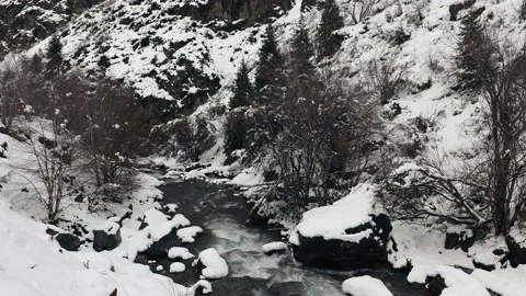 4K. Winter Mountain Stream. Mountain River. Winter Landscape Video stock 228732991