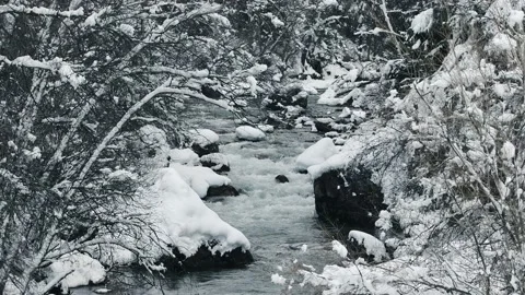 4K. Winter Mountain Stream. Mountain River. Winter Landscape Video stock 228733053