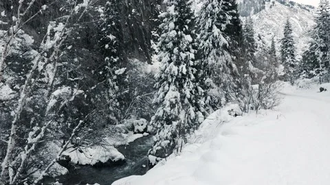 4K. Winter Mountain Stream. Mountain River. Winter Landscape Video stock 228733100