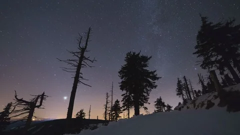 4K Winter night sky with tree silhouette Stock Footage 119155070