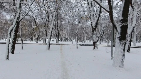4K Winter park full of snow. The street line track 스톡 동영상 102322980