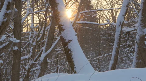 4K Winter Sunrise 2 Stock Footage 47685404