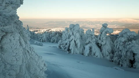 4K Winter sunset shadows between the frozen trees Stock Footage 255517852