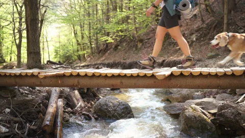 4K Woman crossing mountain brook by wooden bridge with her beagle Stock Footage