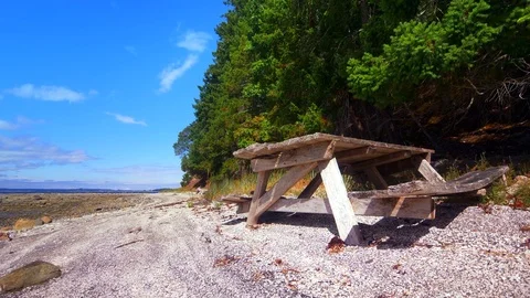 4K Wood Picnic Beach Table on Sand Beach Forest Background Stock Footage 80107123